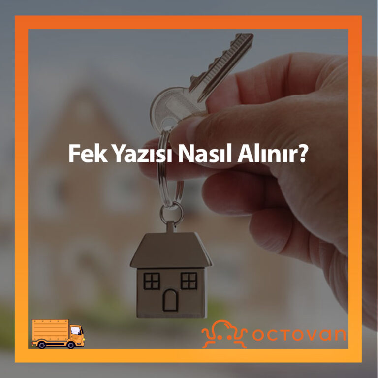 Fek Yazısı Nasıl Alınır? Blog Octovan